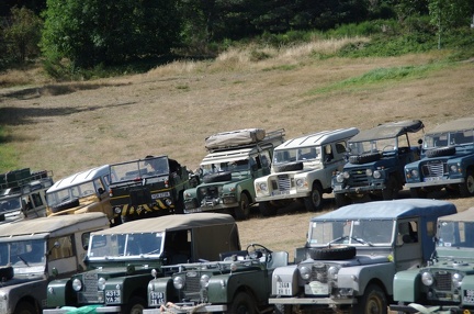 154b125ee4a4dea55dbd3957fede6dca