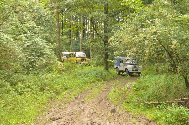 DSC_1806.JPG