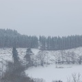 37c2d73b9425f4c5dc2aefe78295eb4d