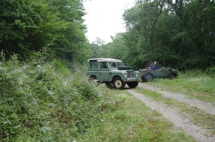 IMGP0009