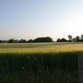 0500ee8a800037518e09e2af04b29c0d